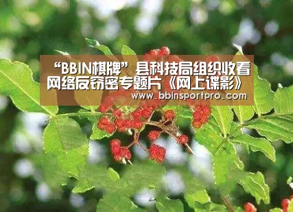 BBIN捕鱼