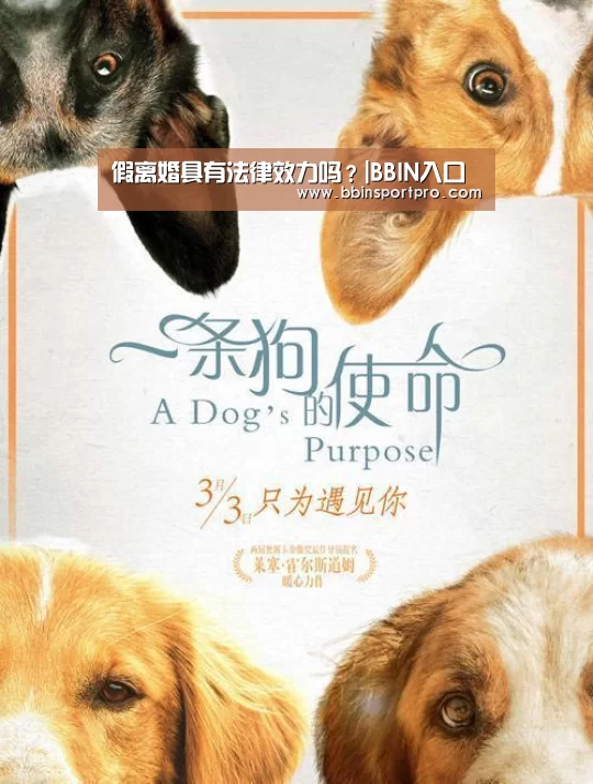 BBIN捕鱼
