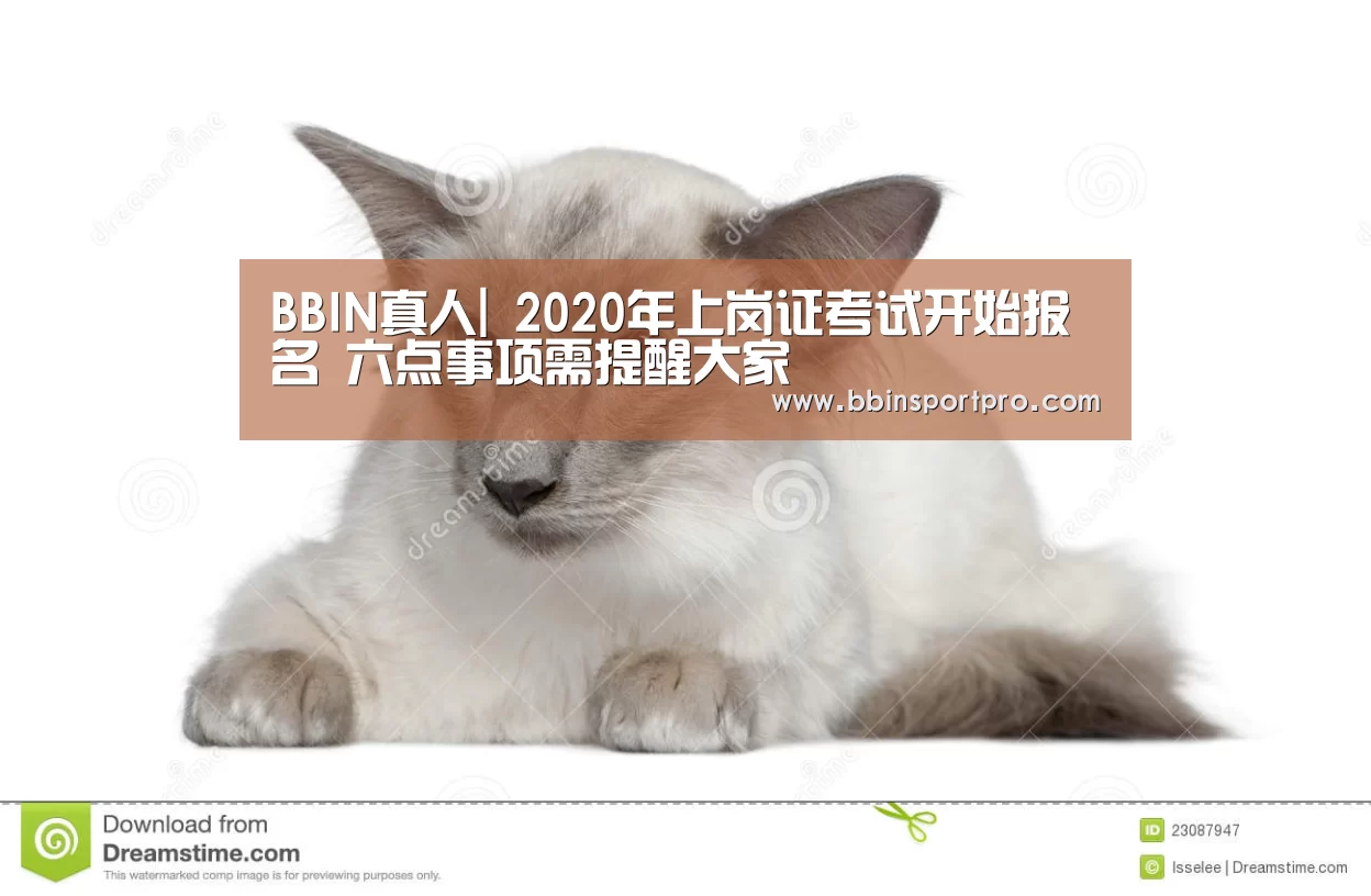 BBIN真人