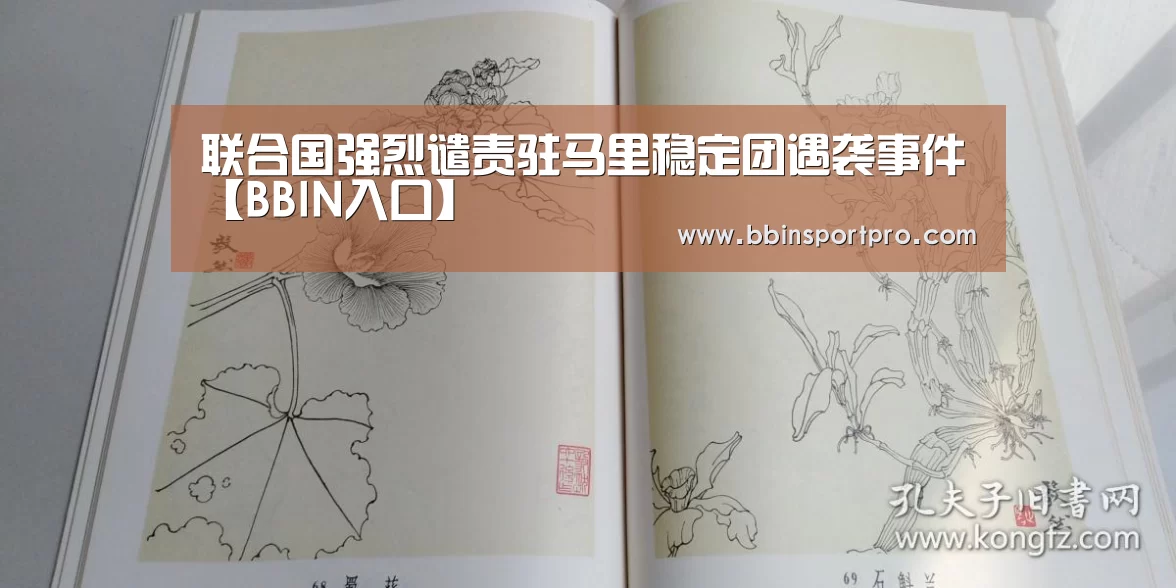 联合国强烈谴责驻马里稳定团遇袭事件【BBIN入口】(图2) BBIN棋牌