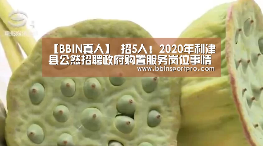 【BBIN真人】
招5人!2020年利津县公然招聘政府购置服务岗位事情人员简章(图1) BBIN棋牌