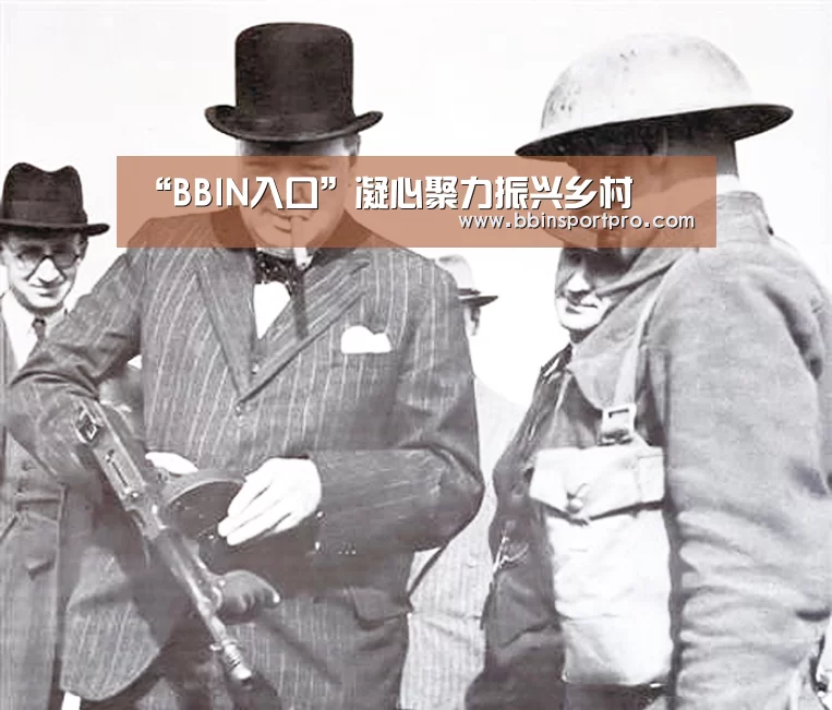 BBIN真人