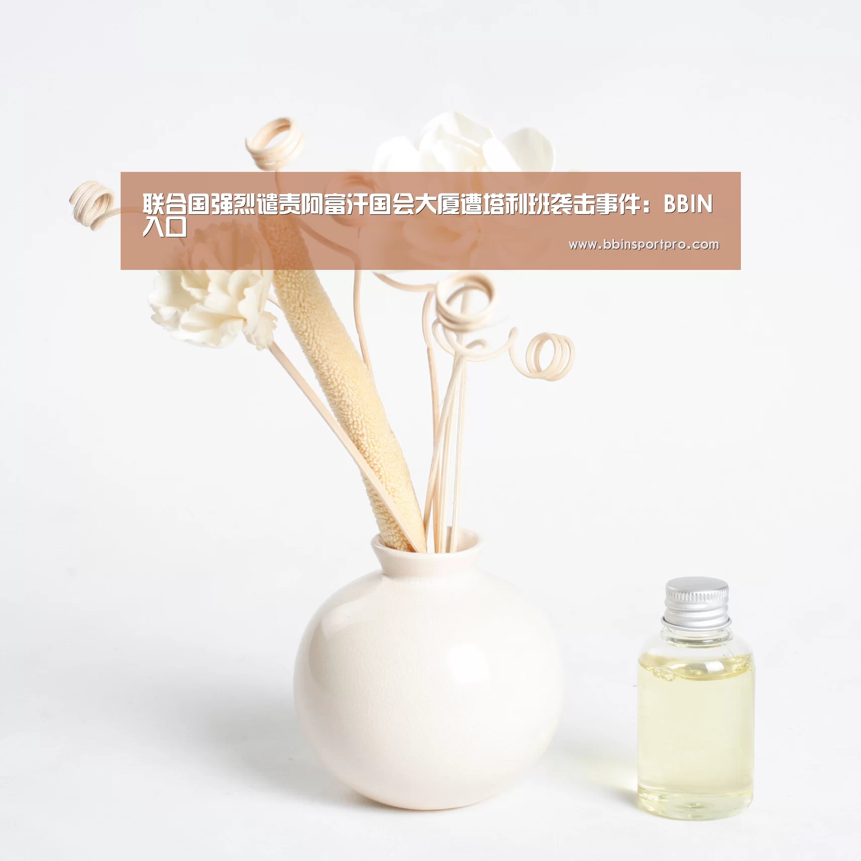 联合国强烈谴责阿富汗国会大厦遭塔利班袭击事件:BBIN入口(图4) BBIN捕鱼