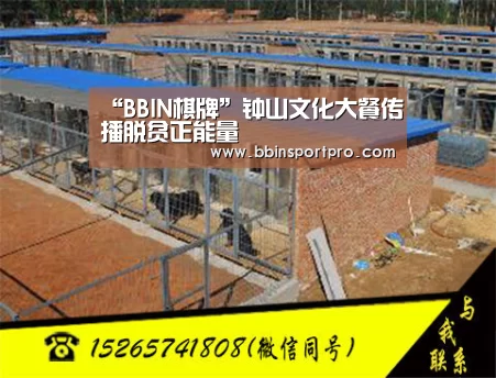 BBIN入口