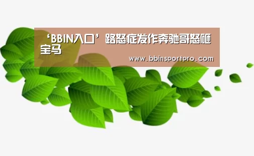 ‘BBIN入口’路怒症发作奔驰哥怒砸宝马(图2) BBIN真人