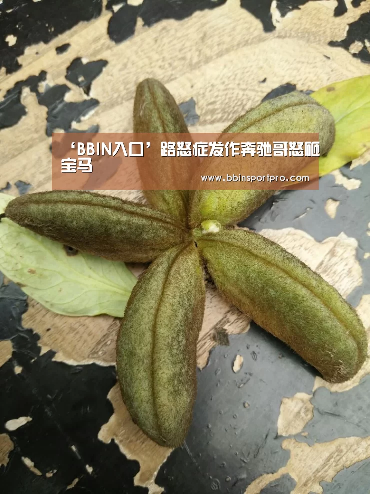 ‘BBIN入口’路怒症发作奔驰哥怒砸宝马(图1) BBIN棋牌