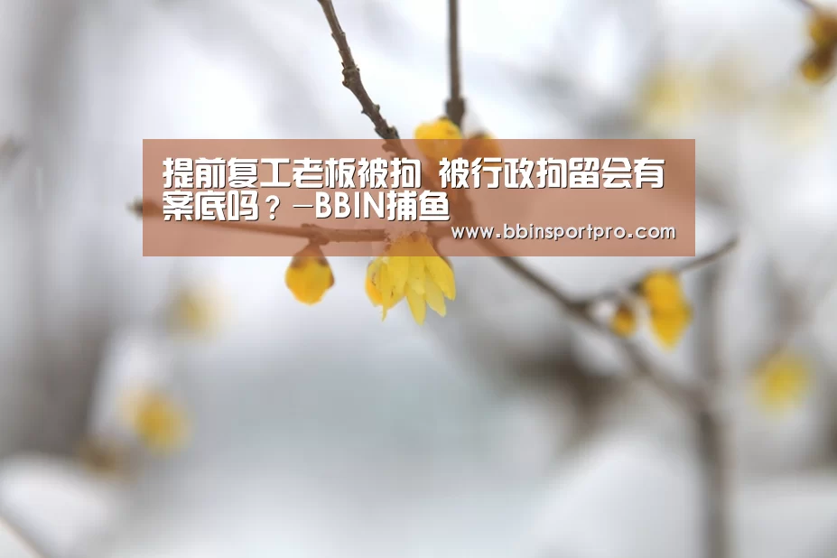 BBIN入口