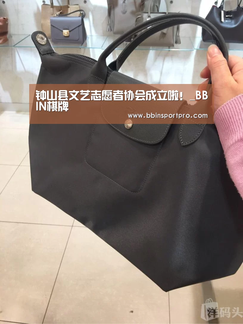 钟山县文艺志愿者协会成立啦!_BBIN棋牌(图2) BBIN捕鱼