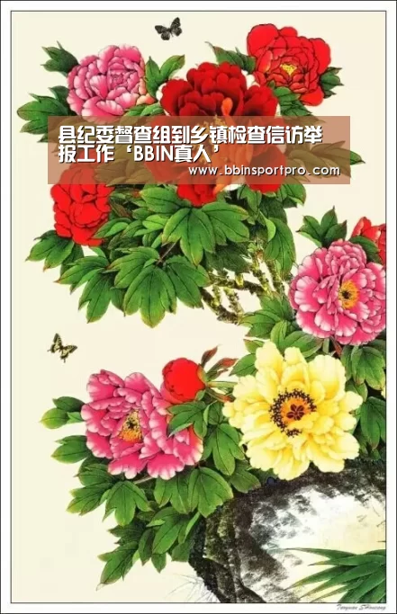 县纪委督查组到乡镇检查信访举报工作‘BBIN真人’(图2) BBIN真人