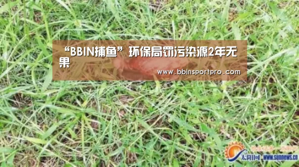 “BBIN捕鱼”环保局罚污染源2年无果(图1) BBIN捕鱼
