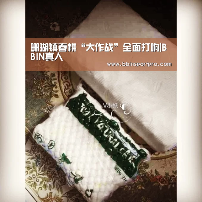珊瑚镇春耕“大作战”全面打响|BBIN真人(图4) BBIN真人