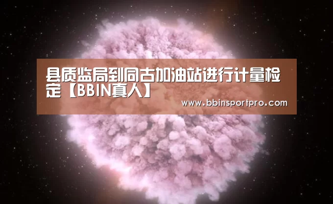 县质监局到同古加油站进行计量检定【BBIN真人】(图2) BBIN入口