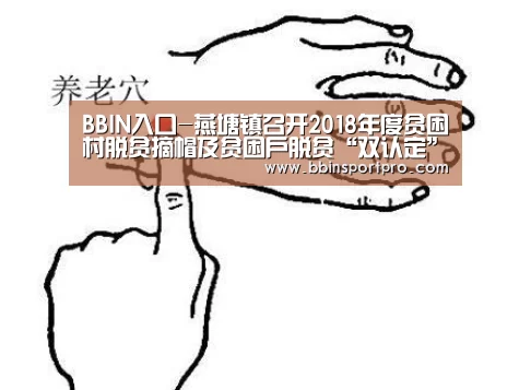 BBIN入口-燕塘镇召开2018年度贫困村脱贫摘帽及贫困户脱贫“双认定”工作部署暨培训会(图3) BBIN入口